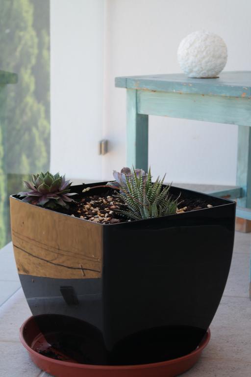 Apartamento Quinta Nova Alvor Oda fotoğraf